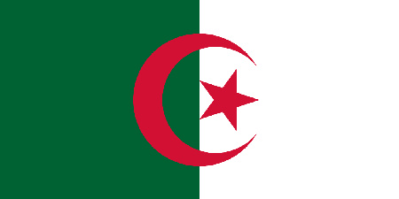 Algeria corporate investigators