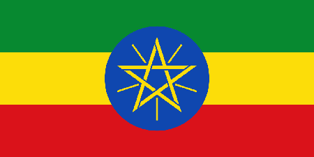 Ethiopia corporate investigators