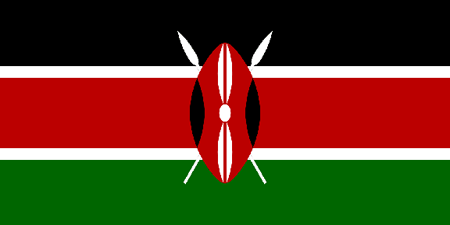 Kenya corporate investigators