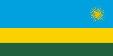 Rwanda corporate investigators