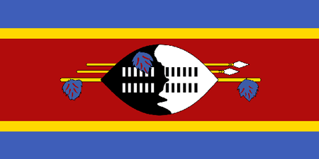 Swaziland corporate investigators