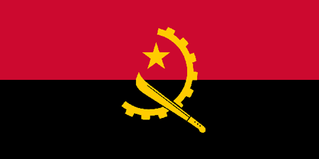 Angola corporate investigators
