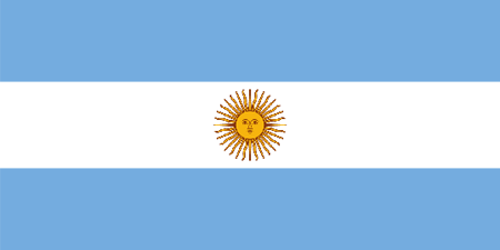 Argentina corporate investigators