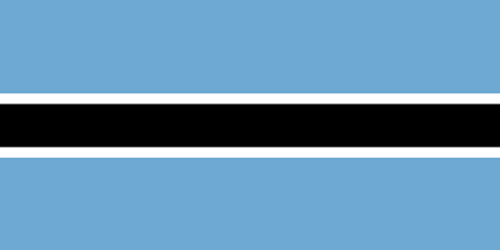 Botswana corporate investigators