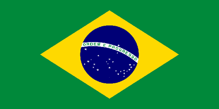 Brazil corporate investigators