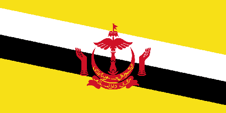 Brunei corporate investigators