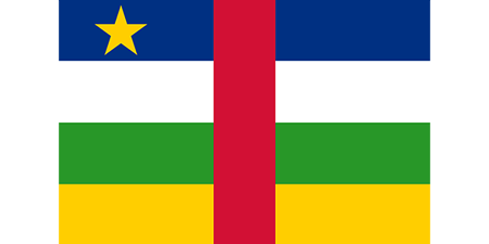 Central African Republic corporate investigators