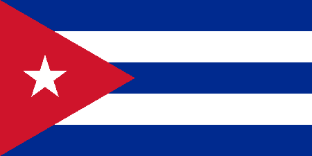 Cuba corporate investigators