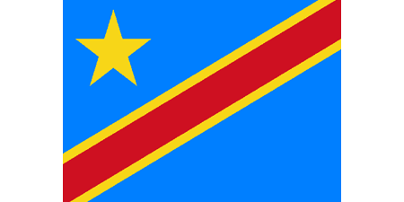 Democratic Republic of the Congo corporate investigators