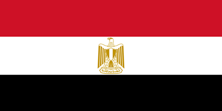 Egypt corporate investigators