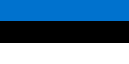 Estonia corporate investigators