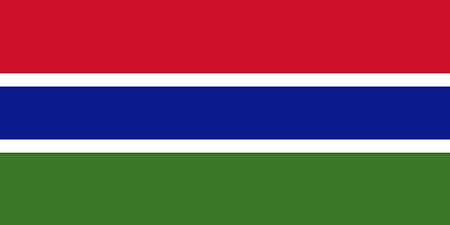 Gambia corporate investigators