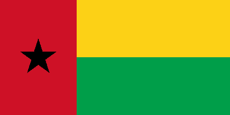 Guinea Bissau corporate investigators