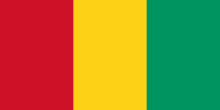 Guinea corporate investigators