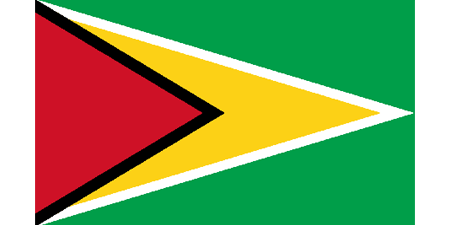 Guyana corporate investigators