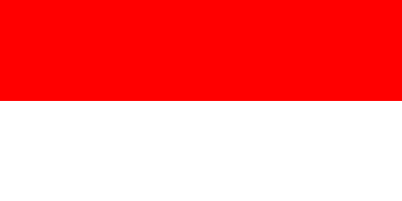 Indonesia corporate investigators