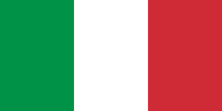 Italy corporate investigators
