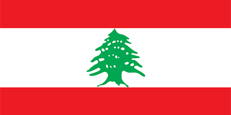 Lebanon corporate investigators