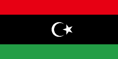 Libya corporate investigators
