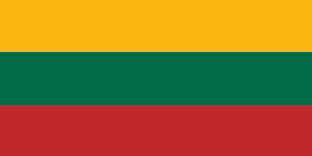 Lithuania corporate investigators