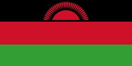 Malawi corporate investigators