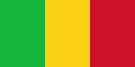Mali corporate investigators