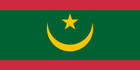 Mauritania corporate investigators