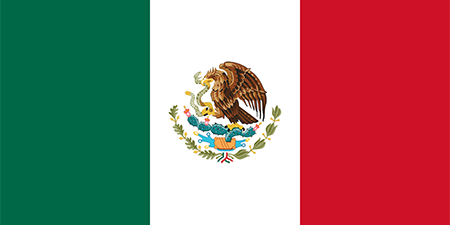 Mexico corporate investigators