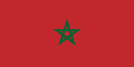 Morocco corporate investigators