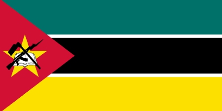 Mozambique corporate investigators