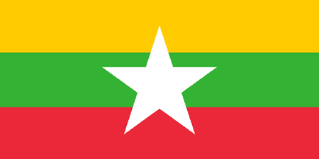 Myanmar corporate investigators
