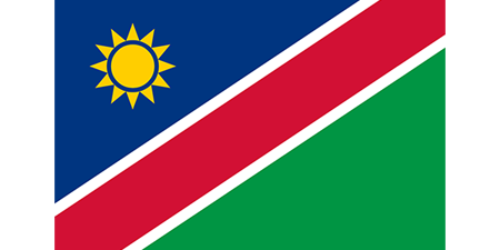 Namibia corporate investigators