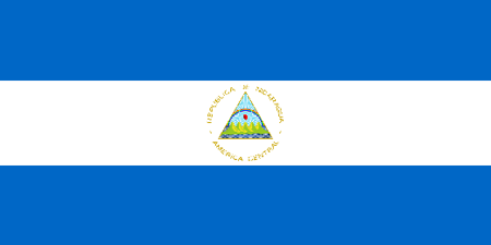 Nicaragua corporate investigators