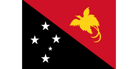 Papua New Guinea corporate investigators