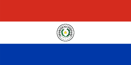 Paraguay corporate investigators