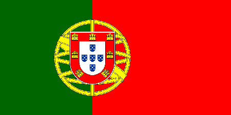 Portugal corporate investigators