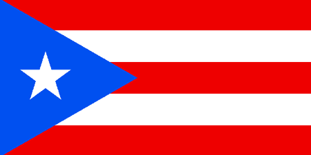 Puerto Rico corporate investigators