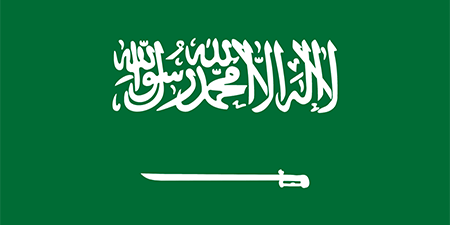 Saudi Arabia corporate investigators