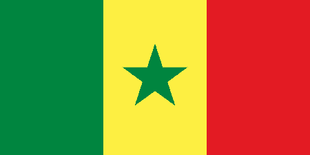 Senegal corporate investigators