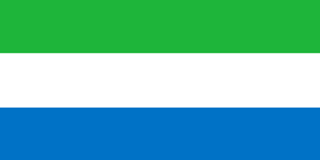 Sierra Leone corporate investigators