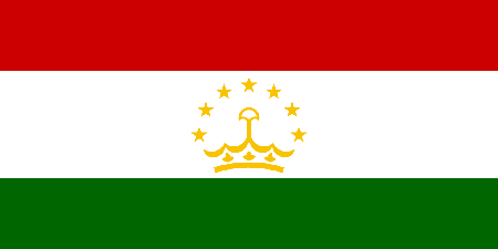 Tajikistan corporate investigators