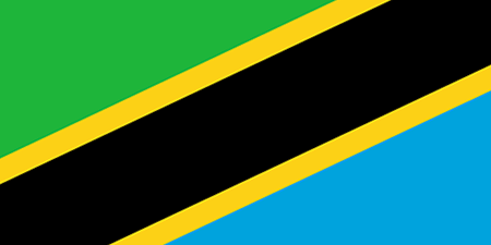 Tanzania corporate investigators