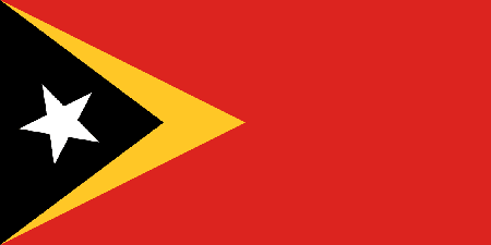 Timor-Leste corporate investigators