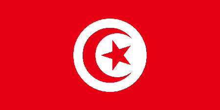 Tunisia corporate investigators
