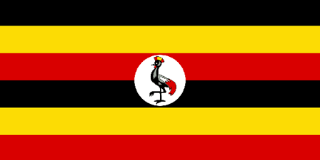 Uganda corporate investigators