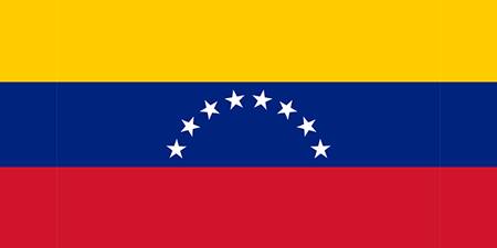 Venezuela corporate investigators
