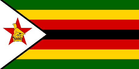 Zimbabwe corporate investigators